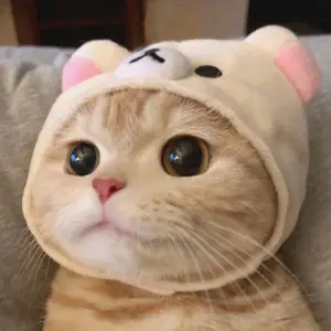 紫杏様 ある姫 ルーカス 韓国 コラボカフェ ハート型 缶バッジ 10個