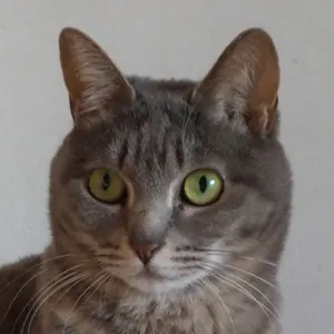 Myday公式アカウント01様 リクエスト 3点 まとめ商品 - メルカリ