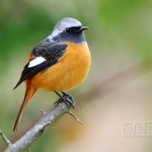 絵本28冊まとめ売りキャベツくんへんてこライオンおまえうまそうだな等