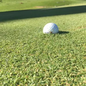Callaway Rogue ツアーステージ ゴルフクラブセット 12本 - メルカリ