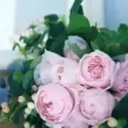 tricotCOMMEdesGARCONS ギャルソン フラワークロシェニット tricotCOMMEdesGARCONS ギャルソン フラワークロシェニット