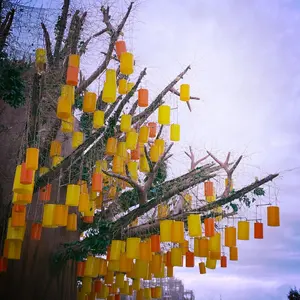 棗巳波 ムビナナ カプ缶vol.8 ×17 ŹOOĻ spoon.2Di - メルカリ