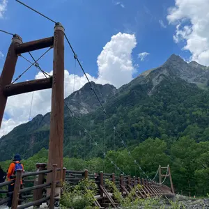 野原工芸 斑紋孔雀色 ハワイアンコアカーリー 固定式口金付属 MP