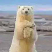 ❹1コマ拡大鑑賞展(複製原画/原稿)ドラえもん/のび太.しずかちゃん