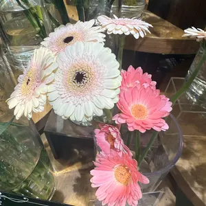 美品】14AW JIL SANDER ジップディテールカシミヤニット - メルカリ