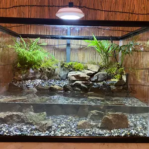 水の流れる滝テラリウム水槽 60サイズ ガジュマル - メルカリ