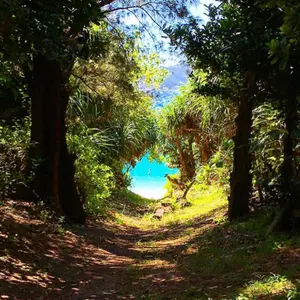 こっこの部屋 ☺︎