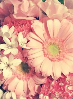 yu♡♡♡(=^・・^=)