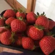 ながしま