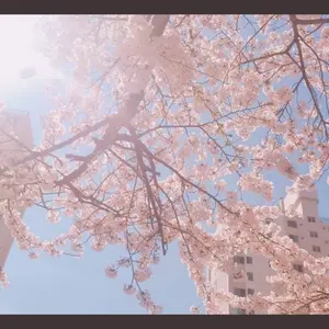 GIANT マウンテンバイク ミントグリーンSX - メルカリ