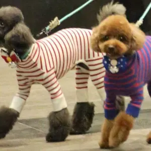 PENTAGON ヨウォン チェキ pentagon ヨウォン チェキ - メルカリ