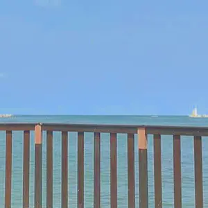 sj︎︎︎︎︎(ϋ)