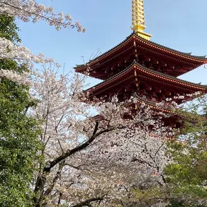 土方歳三 散華 / 萩尾農先生サイン付 - メルカリ