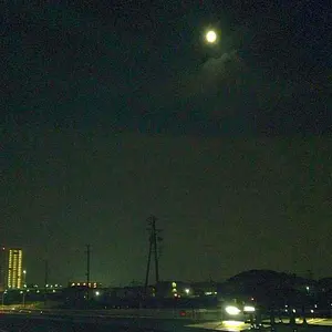 ヴァイスシュヴァルツ WGP2018 ウィナープレイマット 上位賞 優勝