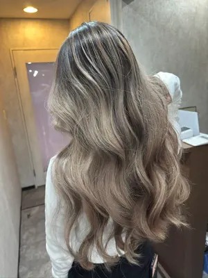 ADA キューブガーデン W450 D270 H200 - メルカリ