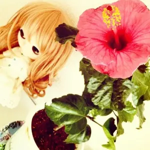 正規品】ボンボンドロップシール しずくちゃん大 四種コンプリート