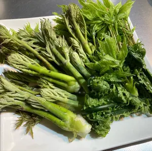 魚じゃらし工房 Musya170 ムシャ170 ピンクバックホロ - メルカリ