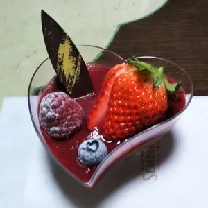 美品！レアカラー Sonorite 聴診器 ミントグリーン ケース付き - メルカリ