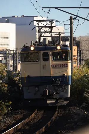東急東横線8000系8021F側面方向幕 東急東横線8000系8021F側面方向幕 - メルカリ