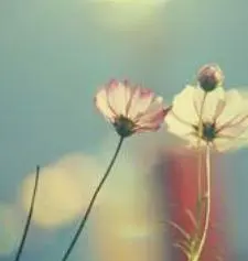 CORTIS ジュフン 1st studio choom 限定 トレカ B - メルカリ