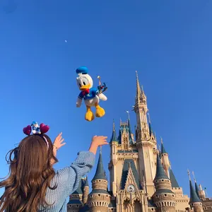 エリンギの断捨離【即日発送】