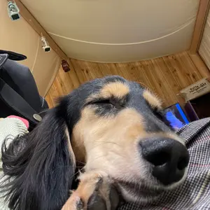 monny