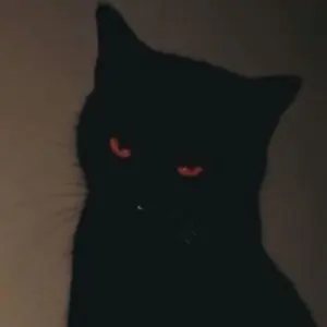 美品 DELUXE NOCTURNAL (ゼブラ柄ニット) BLACK - メルカリ