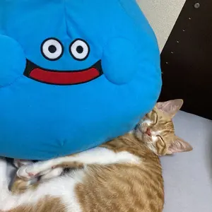 すらいむ