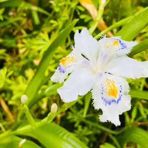 ゆっさん/プロフ確認お願いします！