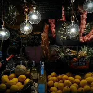 CHA☆プロフ必読