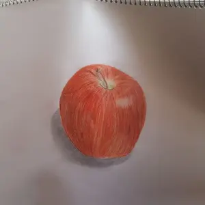 ADAアクアデザインアマノ キューブガーデン60×45×36 - メルカリ