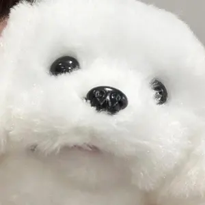 ♫♫