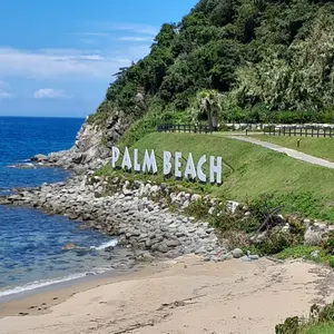 そら様専用。ハッピービデンスいっぱいな 寄せ植え&シエルブリエと仲間