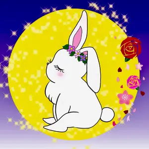 花乙女コレクション【池田清明　プロフィール】購入金額より60％お値引き！！ 花乙女コレクション【池田清明 プロフィール】購入金額より60