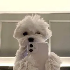 ATEEZ ユノ OUTLAW frommstore 特典 トレカ - メルカリ