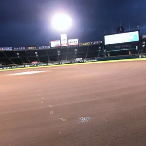超希少タグ付】スターフォックス ぬいぐるみ4体セット タカラ 1993年