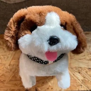 北海道、東北、関東の方限定⭐︎