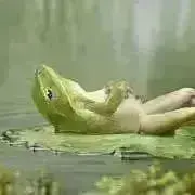 ケロの古着屋 ☆プロフ必読