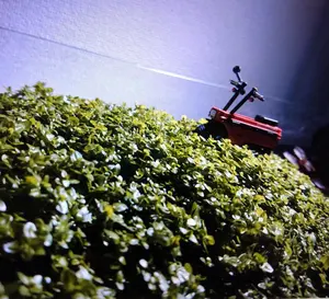 ま*!様 ドラゴンボール カードダス まとめ売り 未剥がし アマダ