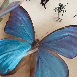 ノノガ トレカ コンプリートセット - メルカリ