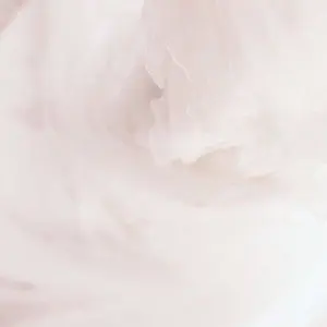 SNIDELSustainableペプラムチュールドレス - メルカリ