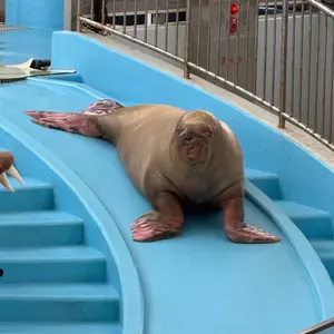 KINUJO キヌージョ キヌジョ ペールブルー ヘアドライヤー ジャンク品