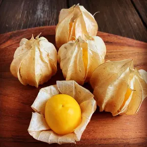 mmma♡さん専用：京都産【特上品】京筍3kg サイズ混載クール便直送