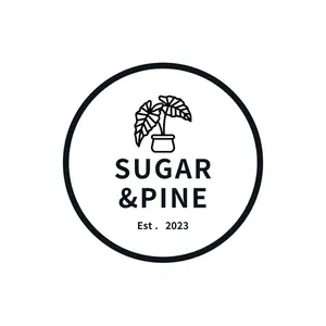 56 フィロデンドロン グロリオーサム トリカラー 斑入り 大株 株分け