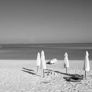 市*樹様 Bm40周年記念 超限定復刻 ミズノ 赤カップ軟式用 YF