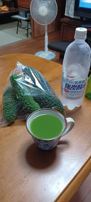 ダイコー◇DAIKO◇セレスタ名手磯1.5/530◇磯竿◇名竿◇メジナ◇クロ