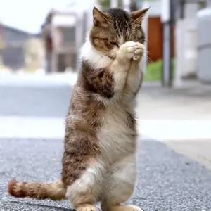 こち亀全巻＋アルファ 抜けなし下 - メルカリ