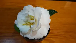 BINhouseのSILK手描きろうけつ染めスカ一フ - メルカリ