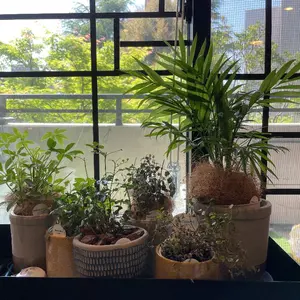 ♥掛軸　山水画　 西尾 楚江 　恵那市　掛け軸　骨董品 ♥掛軸 山水画 西尾 楚江 恵那市 掛け軸 骨董品 - メルカリ