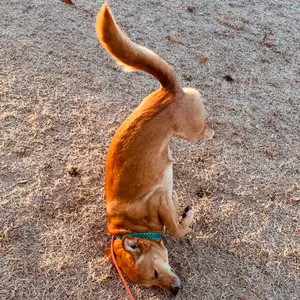 MacBook Pro 13インチ M1 2020 起動OK ※画面Fキー割れ - メルカリ